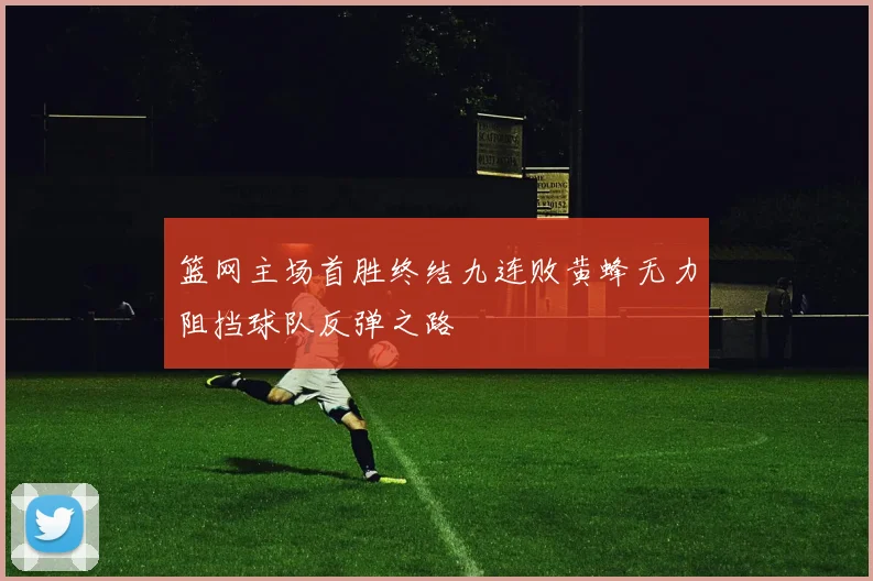 篮网主场首胜终结九连败黄蜂无力阻挡球队反弹之路