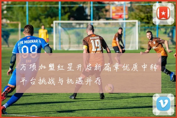 万项加盟红星开启新篇章优质中转平台挑战与机遇并存